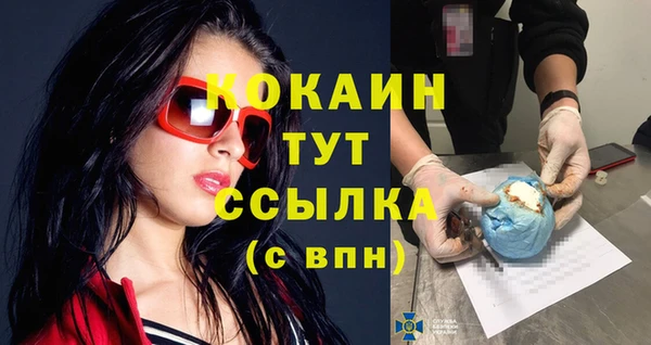 соль курить ск Новодвинск