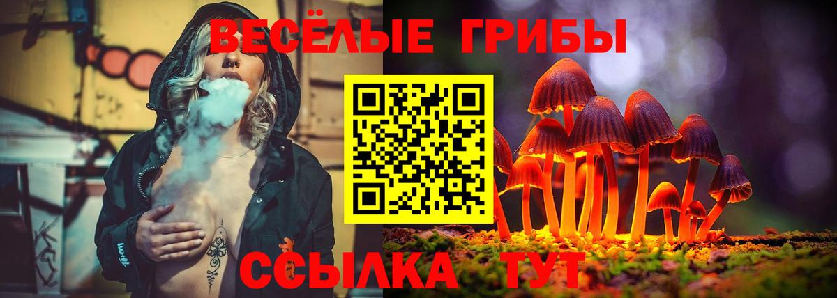 Галлюциногенные грибы GOLDEN TEACHER Смоленск